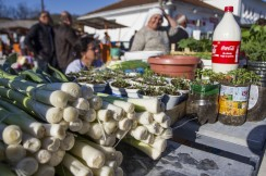 Dan Opštine Ulcinj: Otvorena je nova tržnica na Anamalskom predijelu